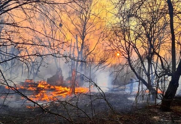 Сталося стихійне лихо, на території Житомирської області